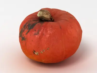 Pumpkin 3D model