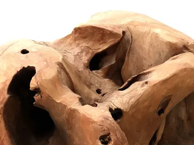 Drift Wood 1 3D model