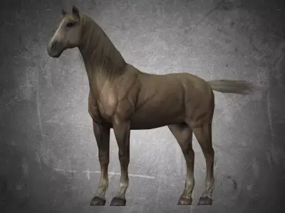 Horse - D14 3D model