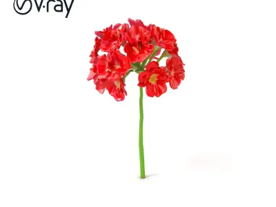 Dianthus Minor Blossom Vibrant model pack Low-poly 3D model