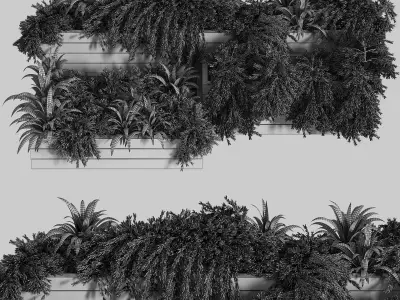 Outdoor Plants Tree in Plant Box Set0 3D model