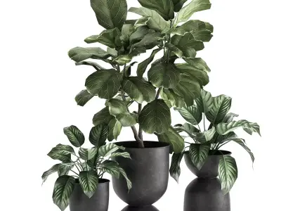 Houseplants in a pot for the interior 876 3D model