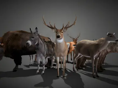 50 Realistic Animals FULL PACK Low-poly 3D model