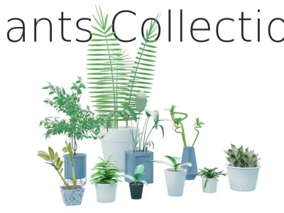 Plants Collection plant in pot Low-poly 3D model