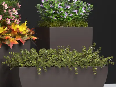 plants set 121 3D model