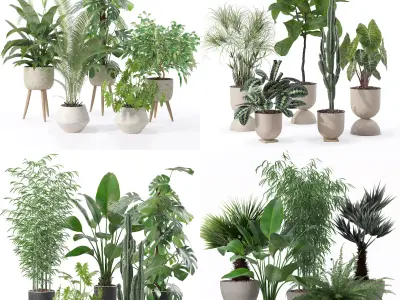 20 Photorealistic Flowers for Interiors - set 121 125 128 132 3D Model Collection