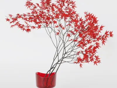 Decorative branch japanese maple 3D model