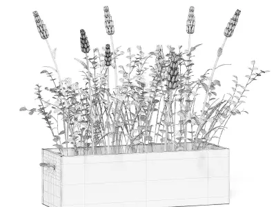 Flowers 3D Model in Wooden Box 3D model