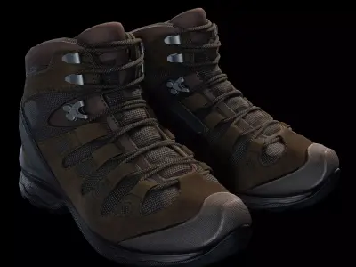 salomon military shoes Low-poly 3D model