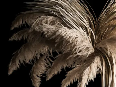 Hanging Bouquet Of Dry Reeds For Decoration 266 3D model