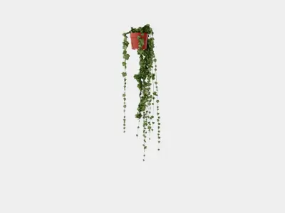Hedera helix long ranks Low-poly 3D model