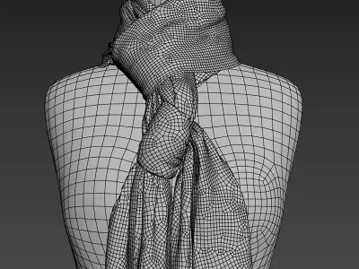 Shawl over the body 3 3D model