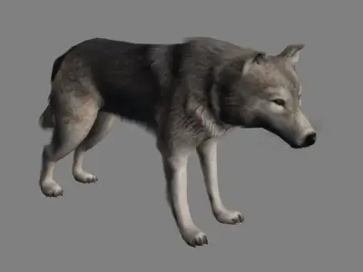 Wolf Animations-Lowpoly-Game Ready Low-poly 3D model