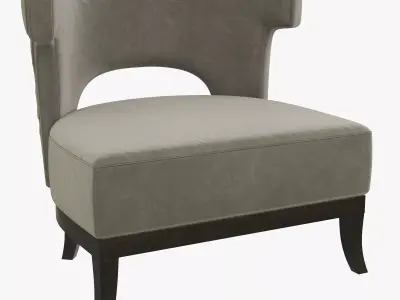 Brabbu KANSAS 3D model