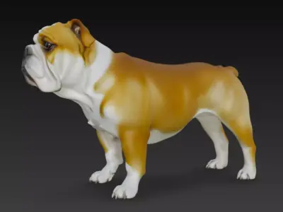 Detailed 3D Bulldog Dog Model 3D model