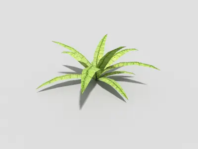 Low poly Plant Low-poly 3D model