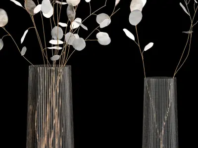 Bouquets Of Dried Flowers Lunaria In Vases 3D model