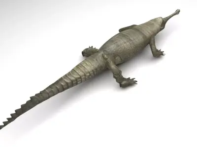 Crocodile 3D model