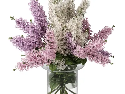Bouquets 24 lilacs 3D model