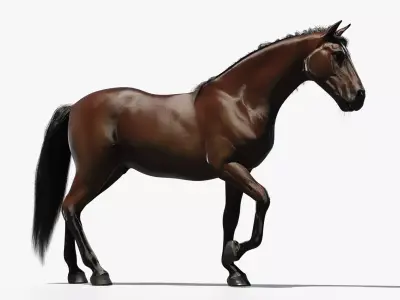 Horse animated 3D model