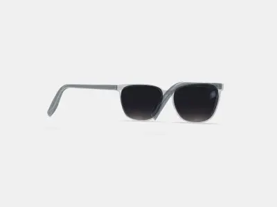 Esme Sunglasses in Crystal 3D model
