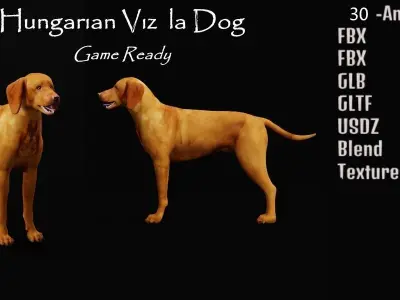 Vizsla Dog 3D model
