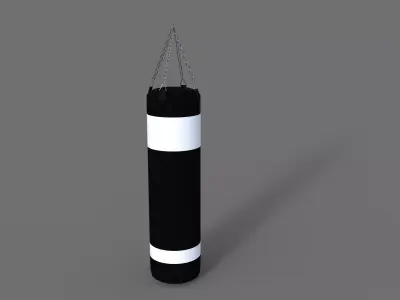 Punching Bag  Free 3D model