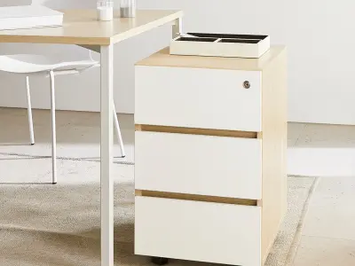onion Maple Drawer Wide 3D model