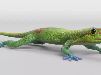 Gecko Low-poly 3D model