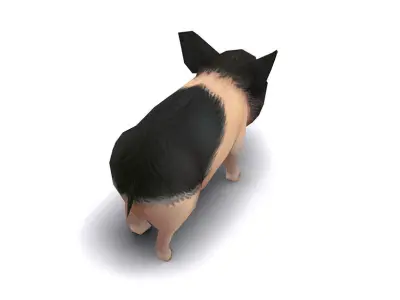 pig pet pig swine hog hoggery Low-poly 3D model