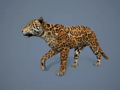 Jaguar Low-poly 3D model