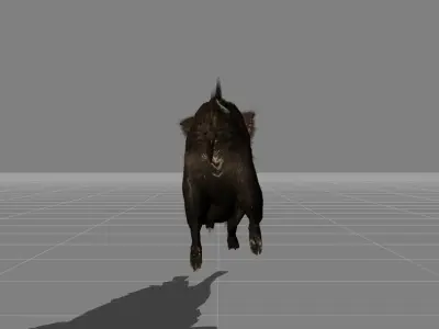 piggy Boar v1 Low-poly 3D model