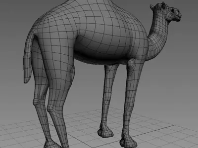 Camel Base Mash Low-poly 3D model