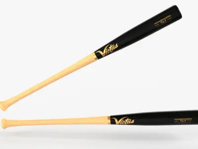 Collection of baseball bats and balls 3D model