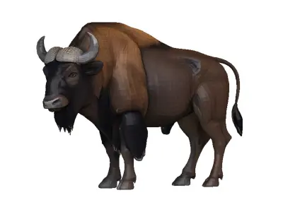 Bison Low-poly 3D model