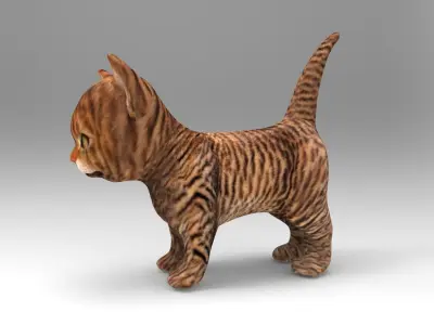 3D Cat low poly pet  Low-poly 3D model