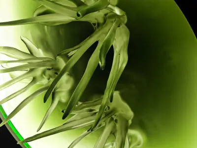 Alien flower By Alisa Sheinson Free 3D model