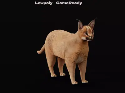 Caracal Wild Cat Low-poly 3D model