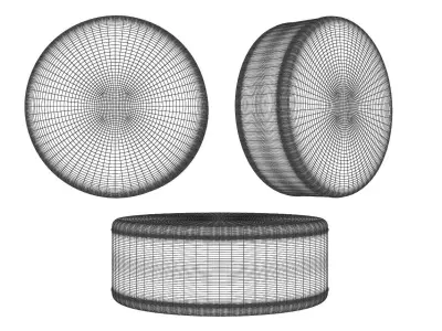 Ice Hockey Puck 3D model