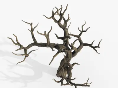 Aquarium Snag V1 2 3D model