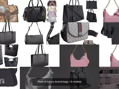 Pack of luxury brand bags