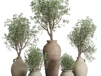 Olive tree in an old earthenware vase indoor set 351 Low-poly 3D model