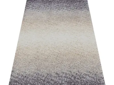 Rug Set 1870 3D model