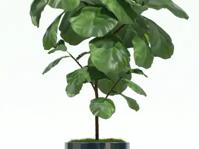 Plants collection 69 Modernica pots 3D model