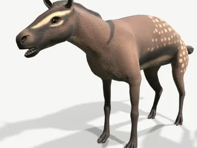 Hyracotherium Low-poly 3D model
