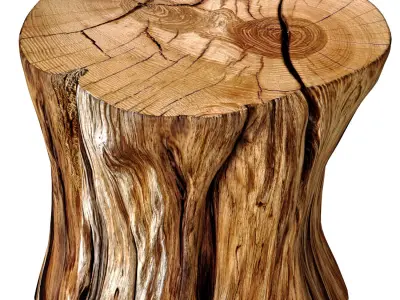 Rustic Wooden side table tree stump Coffee Side Table Sculptural 3D model