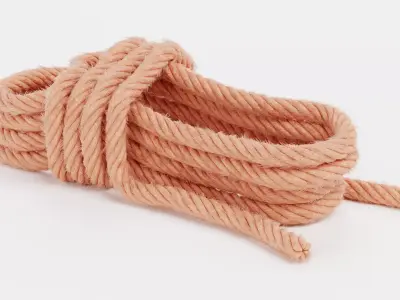 -Rope V4- 3D model