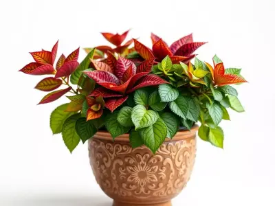 Decorative Floral Pottery model pack Low-poly 3D model