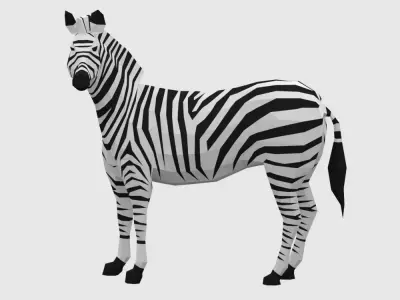 Zebras zebra Low-poly 3D model