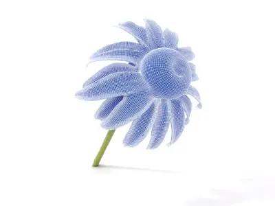 Sunny Daisy Blossom model pack Low-poly 3D model